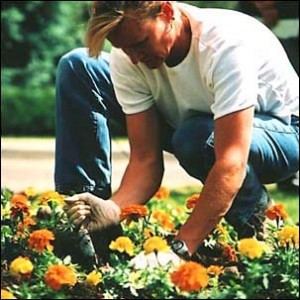 gardening