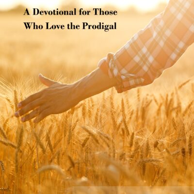 Digital - While We Wait: A Devotional for Those Who Love The Prodigal